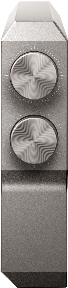 Amazon.co.jp: ハイレゾプレーヤー PLENUE 2 P2-128G-SL : Electronics