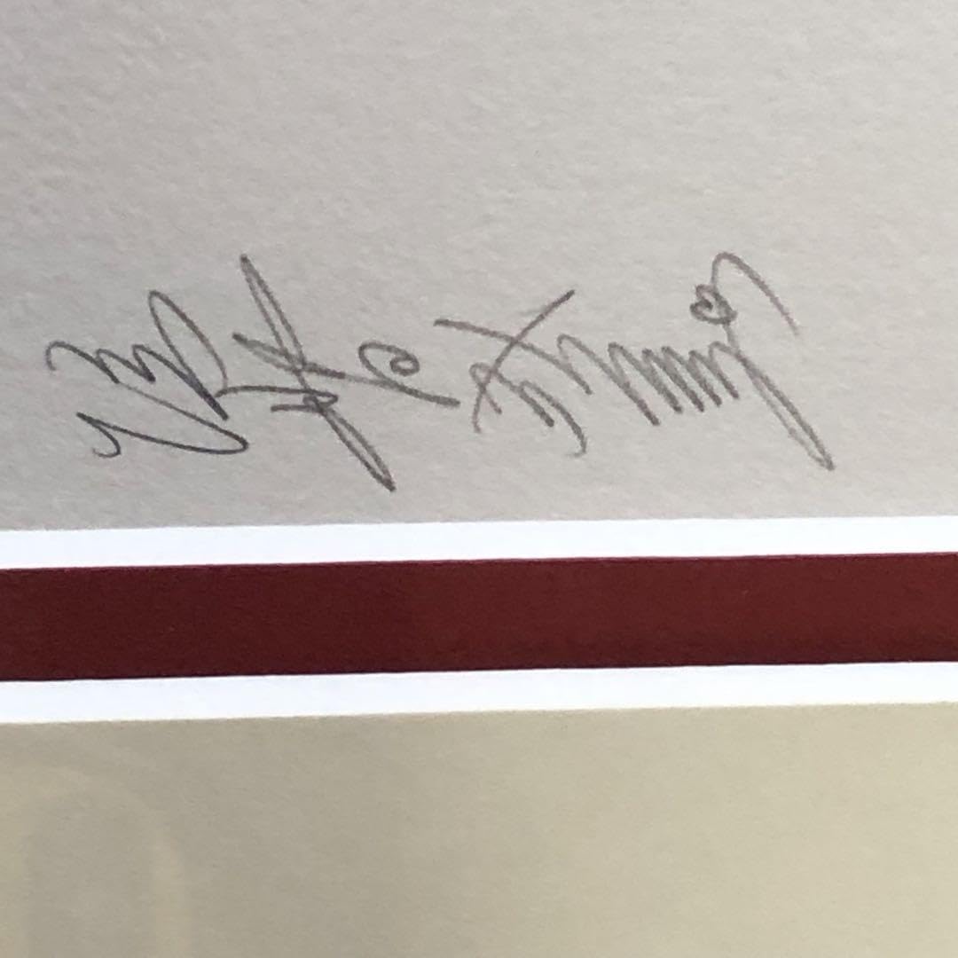 Amazon.co.jp: 垣野内成美 リトグラフ 燐花〜吸血姫美夕 直筆サイン