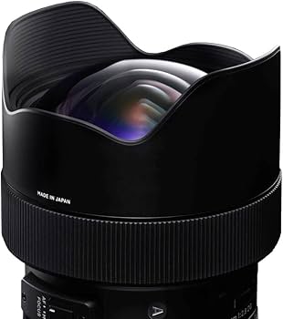 Amazon.com : Sigma 14-24mm F2.8 DG HSM, Black (212955) for Nikon