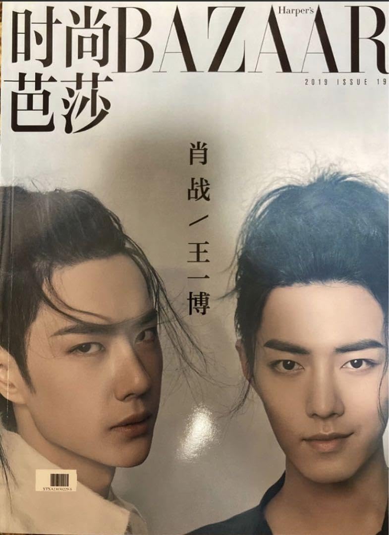 Amazon.co.jp: 陳情令 BAZAAR 肖战 王一博 写真集 : おもちゃ