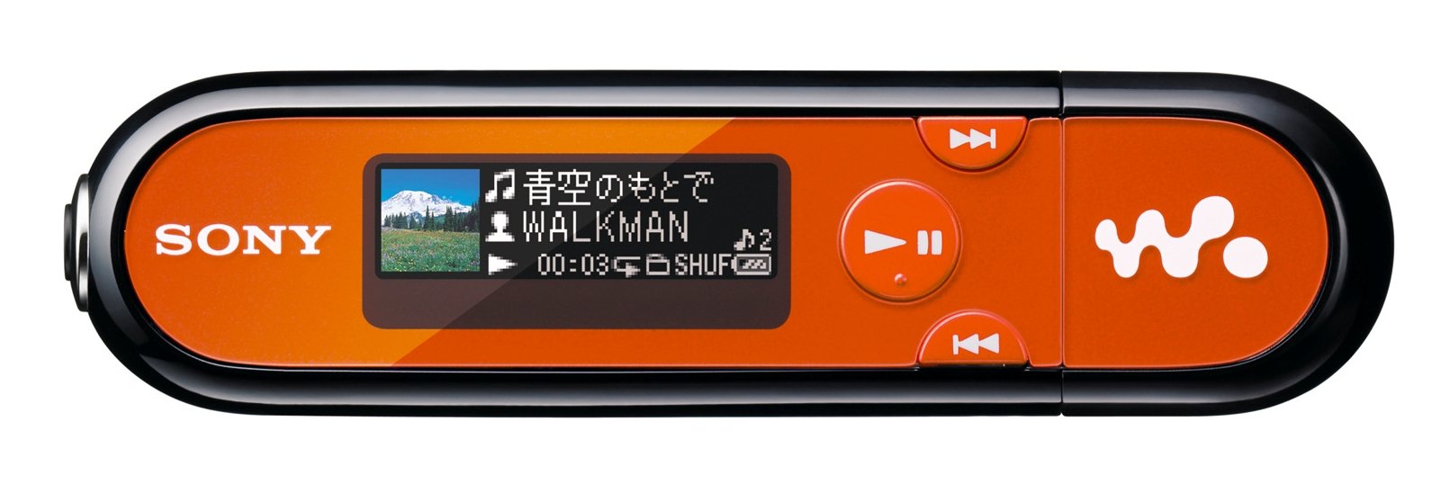 Amazon.co.jp: SONY ウォークマン Eシリーズ FM付 [メモリータイプ