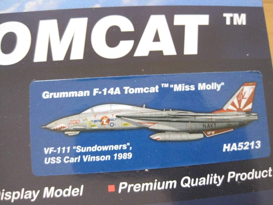 Amazon | 1/72 ホビーマスター F-14A トムキャット 第111戦闘航空隊