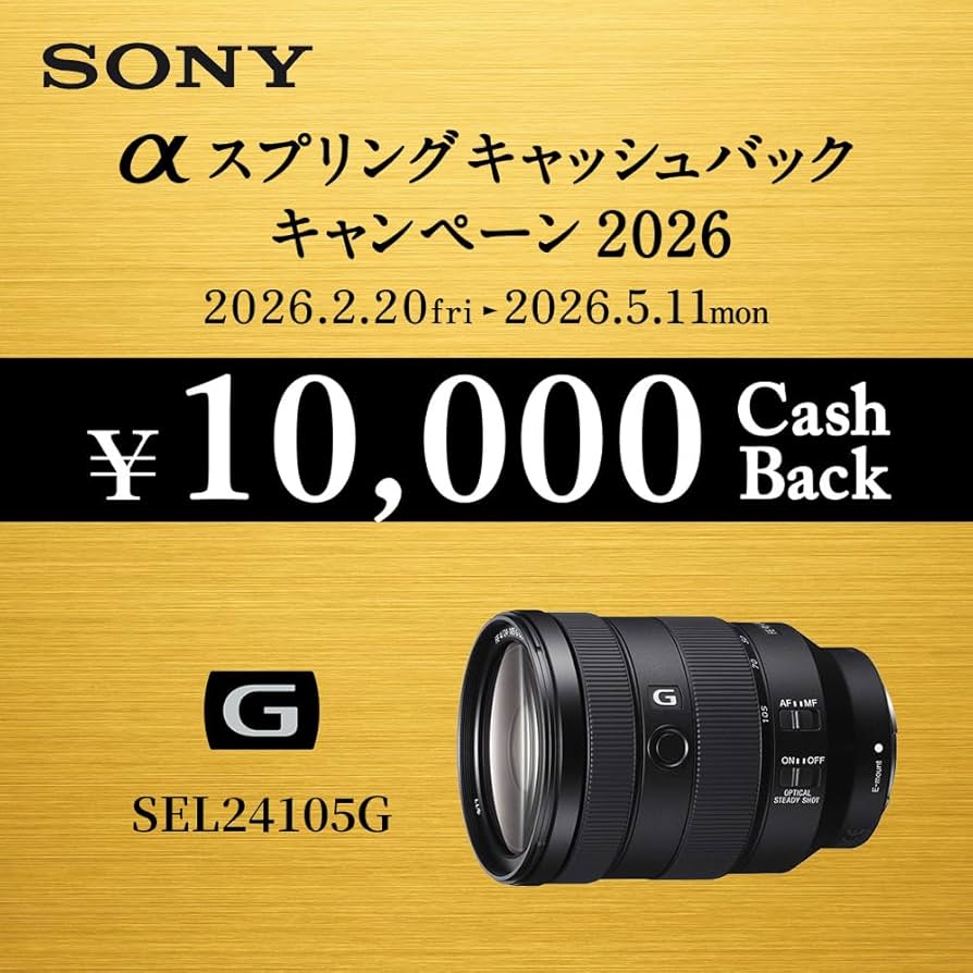 Amazon.co.jp: SONY(ソニー) 標準ズームレンズ フルサイズ FE 24-105mm