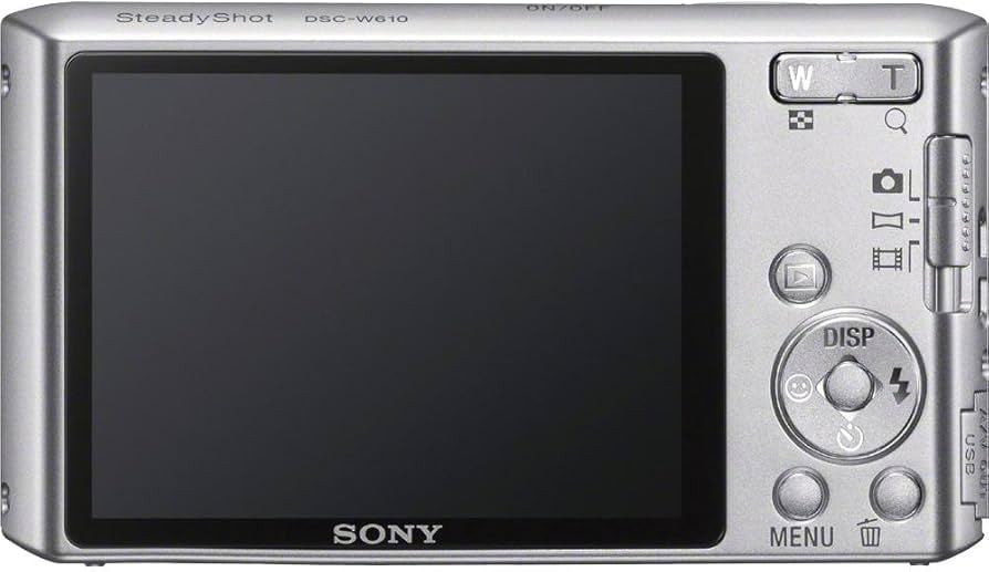Amazon.com: Sony Cyber-shot DSCW610 14.1 MP Digital Camera with 4x