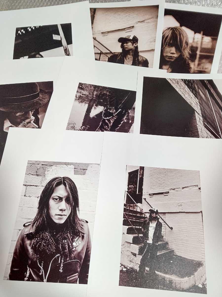 Amazon.co.jp: DIR EN GREY UROBOROS ポートレート セット 日本武道館