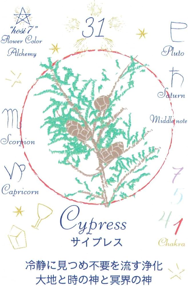 Amazon.co.jp: hosi7フラワーカラー・アルケミーオラクル : 文房具