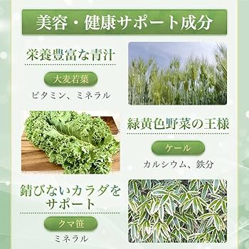 Amazon | 銀座まるかん ゴッドハートダイエットJOKA青汁 604.5g （6.5g