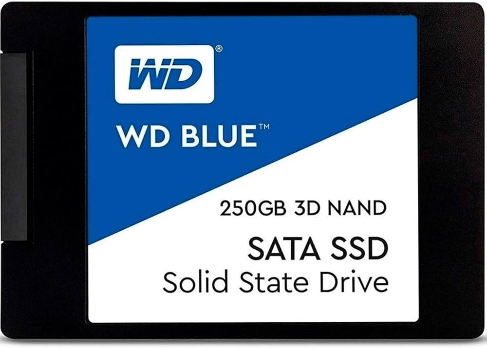 Amazon.com: Western Digital 250GB WD Blue 3D NAND Internal PC SSD