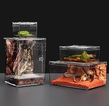 Amazon | Raineed 爬虫類 ケージ トカゲ 飼育セット カエル 水槽