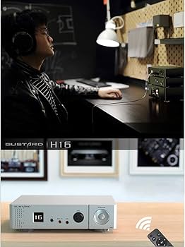 Amazon.co.jp: GUSTARD H16 OLEDディスプレイ シングルエンド 6.35