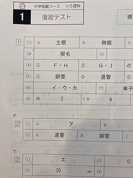 馬渕教室 理科 小5 最難関特訓 1年分 プリント 日曜テスト 中学受験