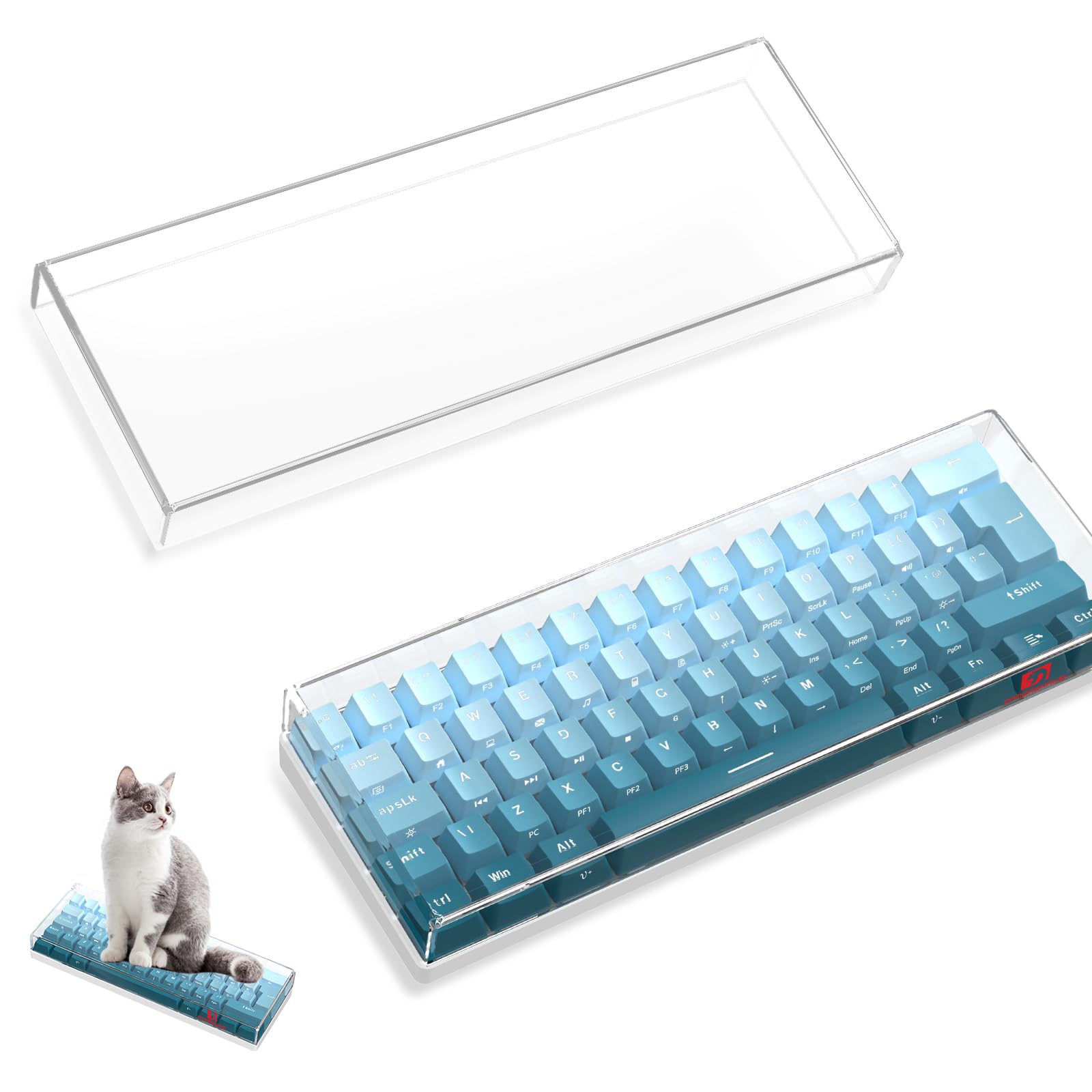 Amazon.com: ZIYOU LANG KC01 Acrylic Clear Transparent Keyboard
