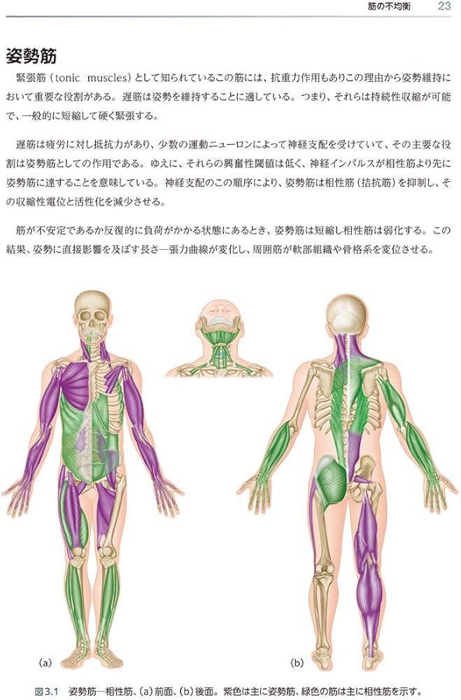 619hpnA+btL._AC_UF1000,