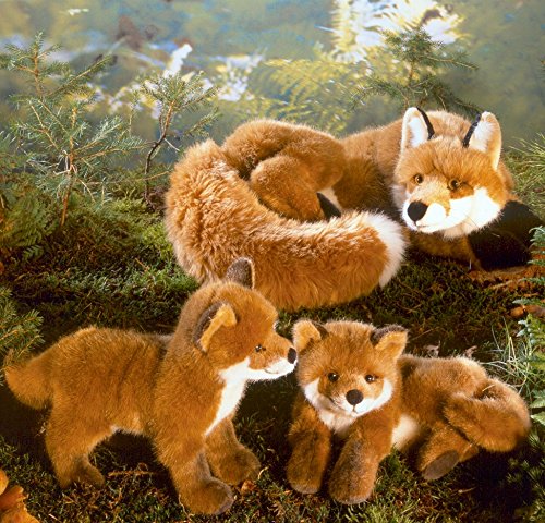 Amazon.co.jp: キツネの子 立ち KOSEN(ケーセン社) 29cm “Paul