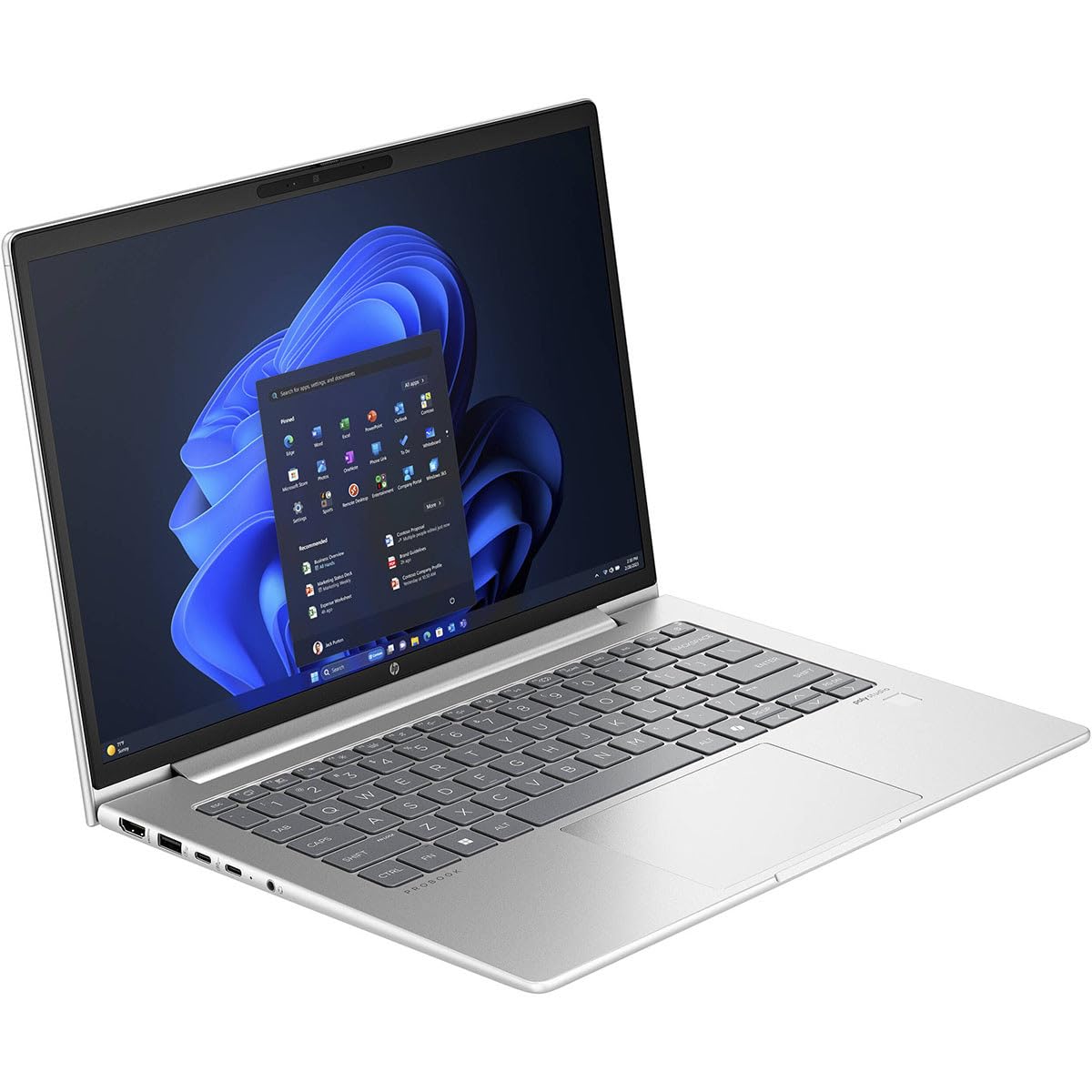 Amazon.com: HP ProBook 445 G11 14