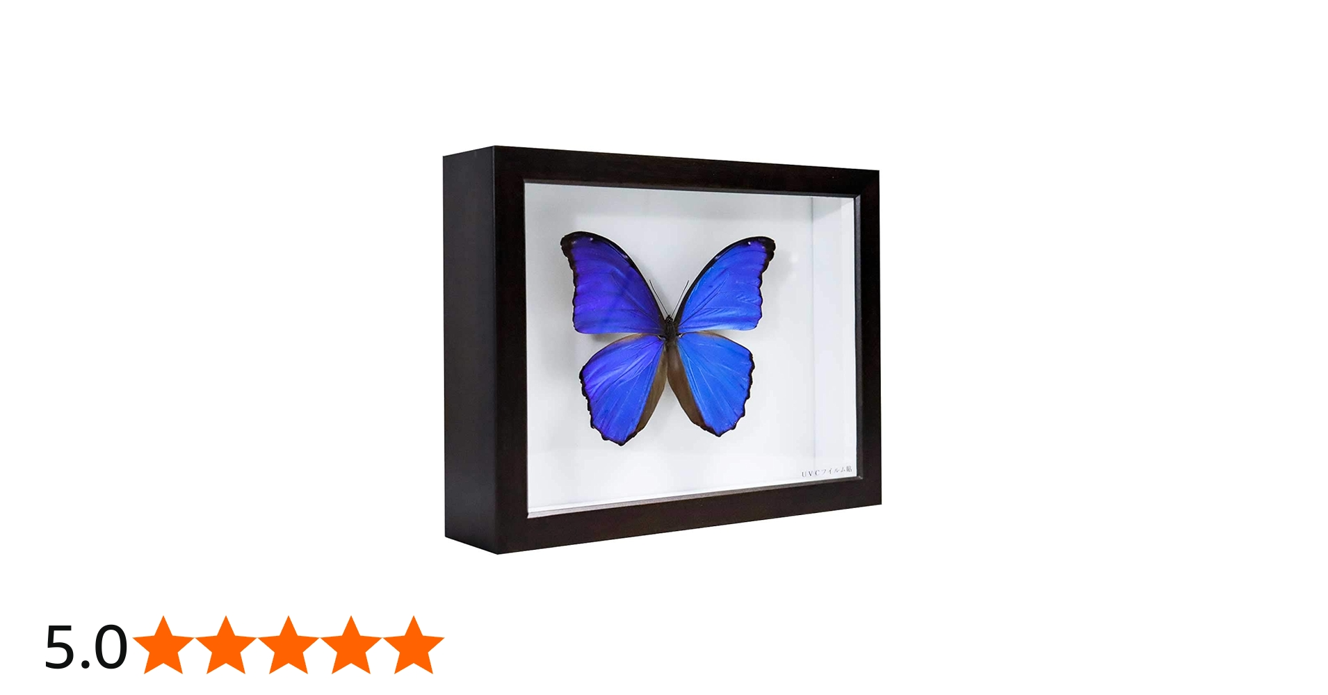 61-UfEJvgqL.jpg_BO30,255,255,