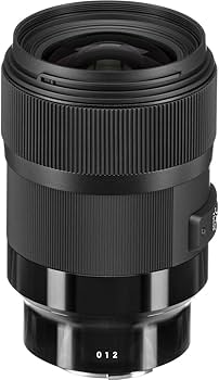 Amazon.com : Sigma 35mm F1.4 Art DG HSM for Sony E : Electronics