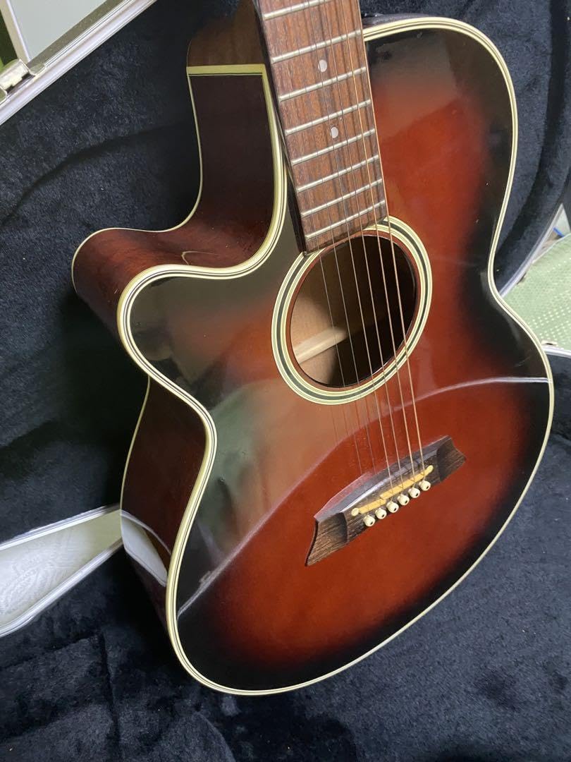Amazon.co.jp: 長渕剛愛用 Takamine エレアコPT106 純正ハードケース付