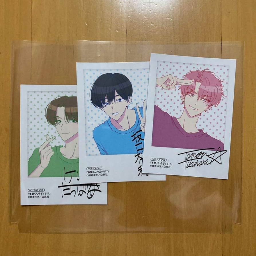 Amazon.co.jp: 全種 3枚 チェキ カード アニメイト ブックフェア 多