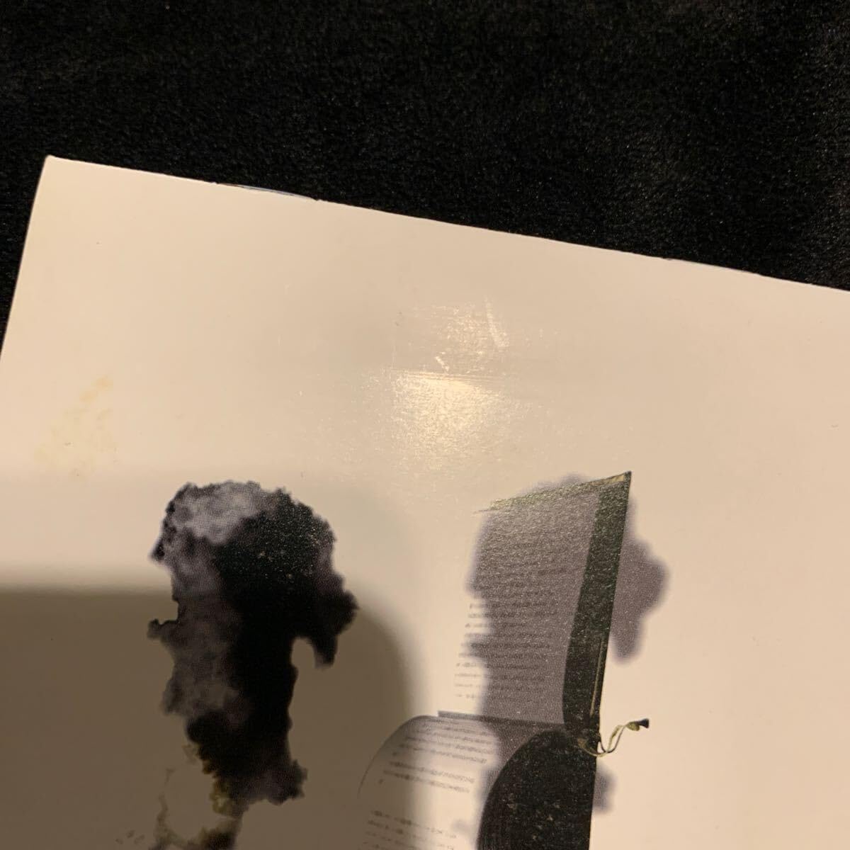 Amazon.co.jp: SCARE CROW/立春/CD/いずみ/スケアクロウ/V系 : おもちゃ