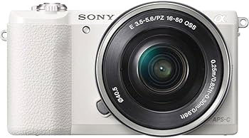 Amazon.com : Sony a5100 16-50mm Mirrorless Digital Camera with 3