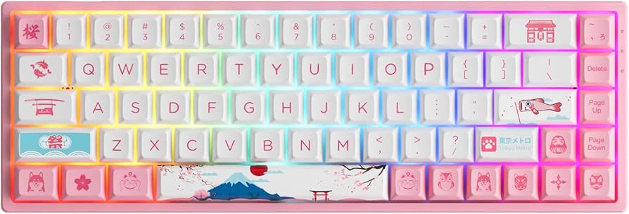 Amazon.com: Akko 3068B Plus World Tour Tokyo R2 65% Percent 68-Key