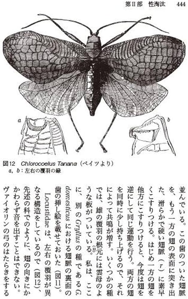 人間の由来(上) (講談社学術文庫 2370) | チャールズ・ダーウィン