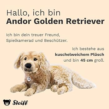 612wiXJVD9L._AC_UF350,