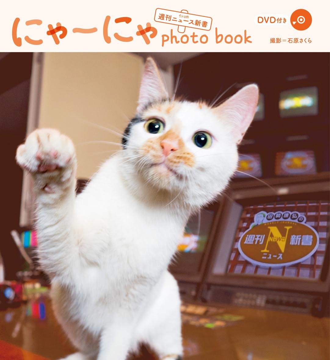 Amazon.co.jp: 『にゃーにゃ photo book from 週刊ニュース新書』 (綴