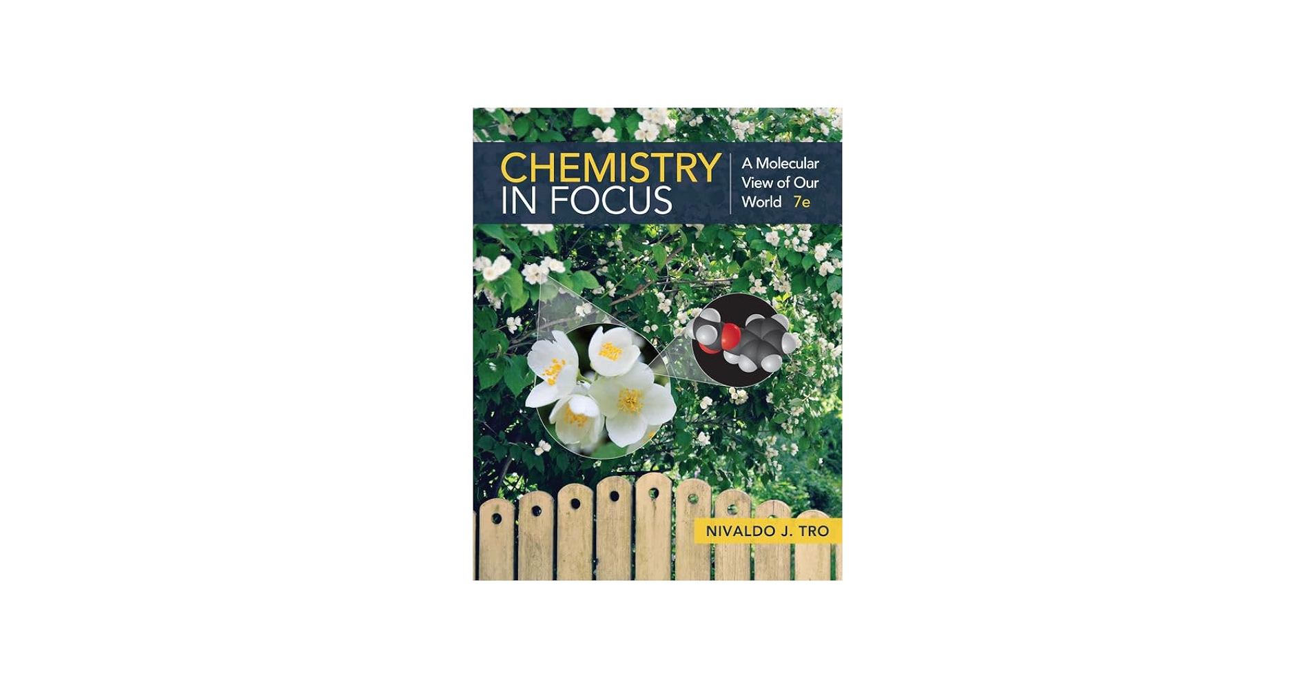 Chemistry in Focus: A Molecular View of Our World: Tro, Nivaldo