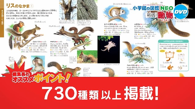 Amazon.co.jp: DVD付 新版 動物 (小学館の図鑑 NEO) : 三浦 慎悟, 成島