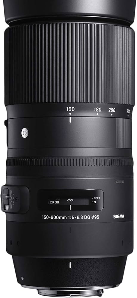 Amazon.com : Sigma 150-600mm 5-6.3 Contemporary DG OS HSM Lens for