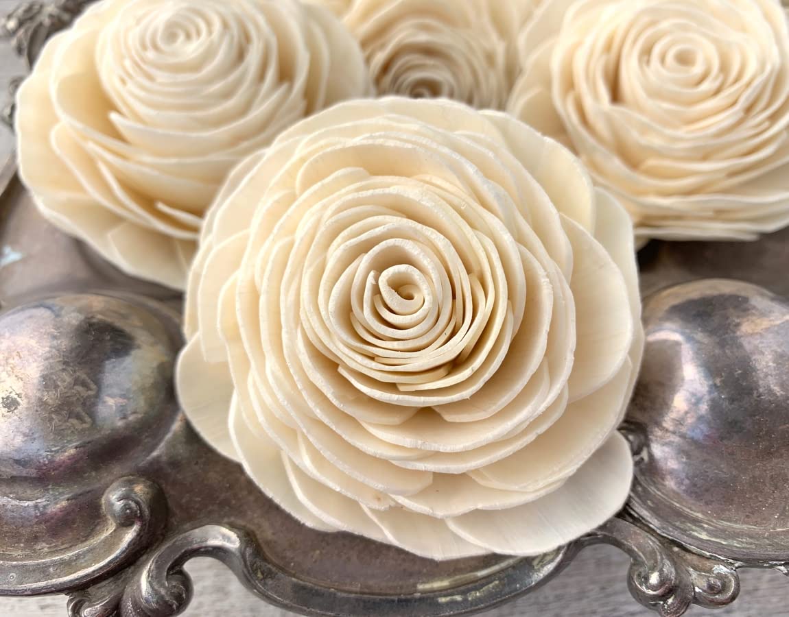 Amazon.com: Sola Wood Flowers – New Beauty 2.0