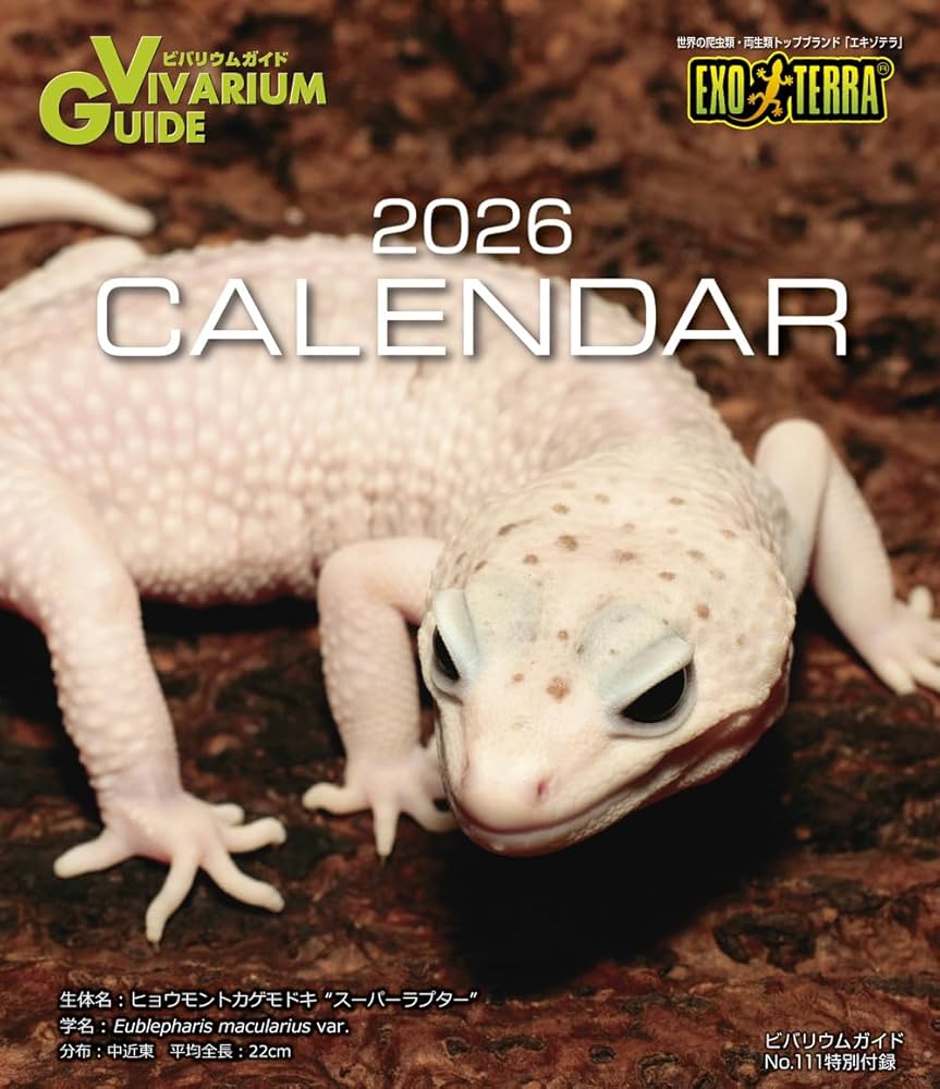ビバリウムガイド No.111 2025年 12 月号 ミズガメのあれやこれ ☆特別