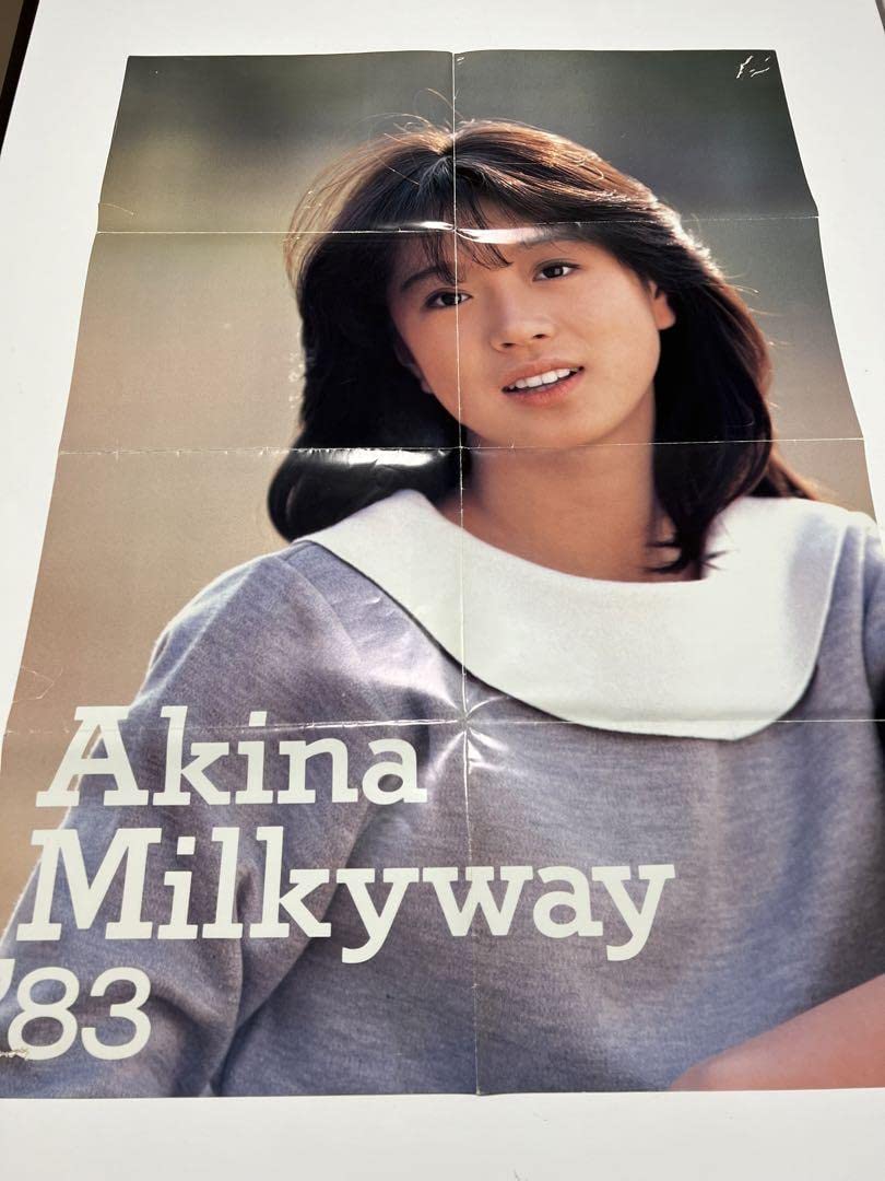 Amazon.co.jp: 中森明菜 愛旅立ち ビデオ パンフ 哀しい性 チケット