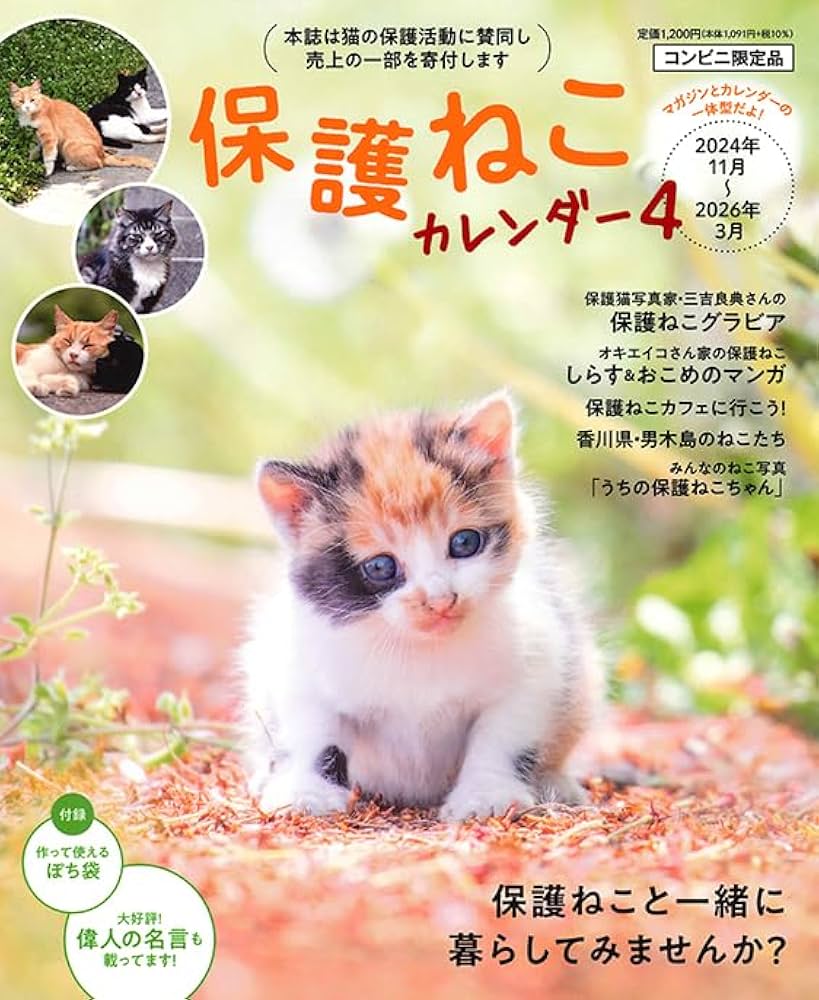 保護ねこカレンダー（4） | インテルフィン編集部 |本 | 通販 | Amazon