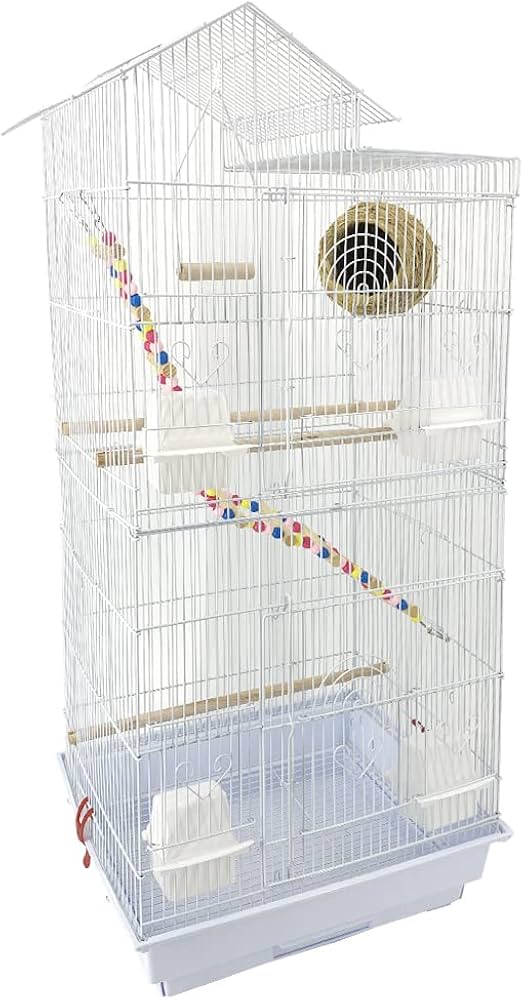 Amazon | RAKU バードケージ 鳥カゴ 鳥小屋 複数飼い 止まり木