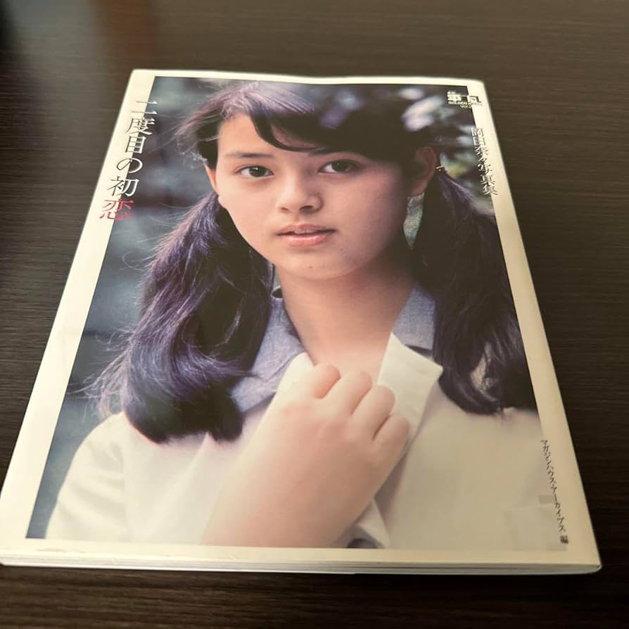 Amazon.co.jp: 月刊平凡GOLDEN BEST!! Vol.2 岡田奈々写真集 二度目の