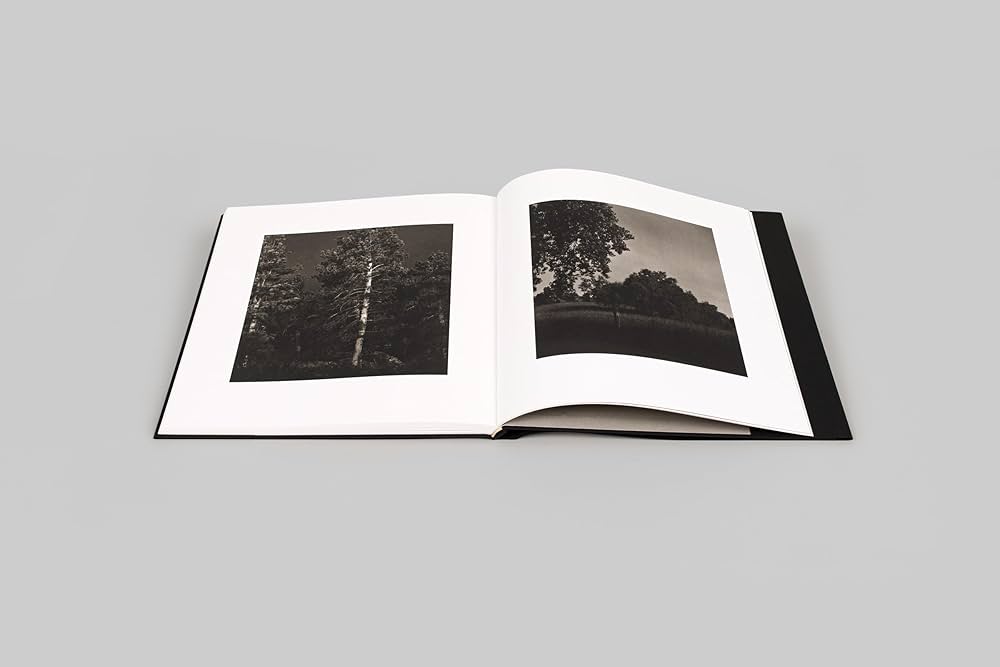 61tnzYw1MlL._AC_UF1000,