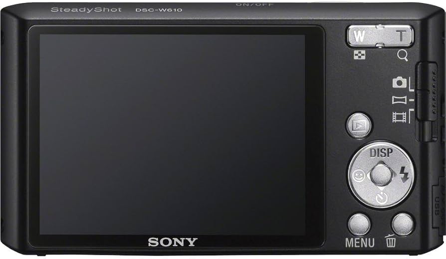 Amazon.com: Sony Cyber-shot DSC-W610 14.1 MP Digital Camera with