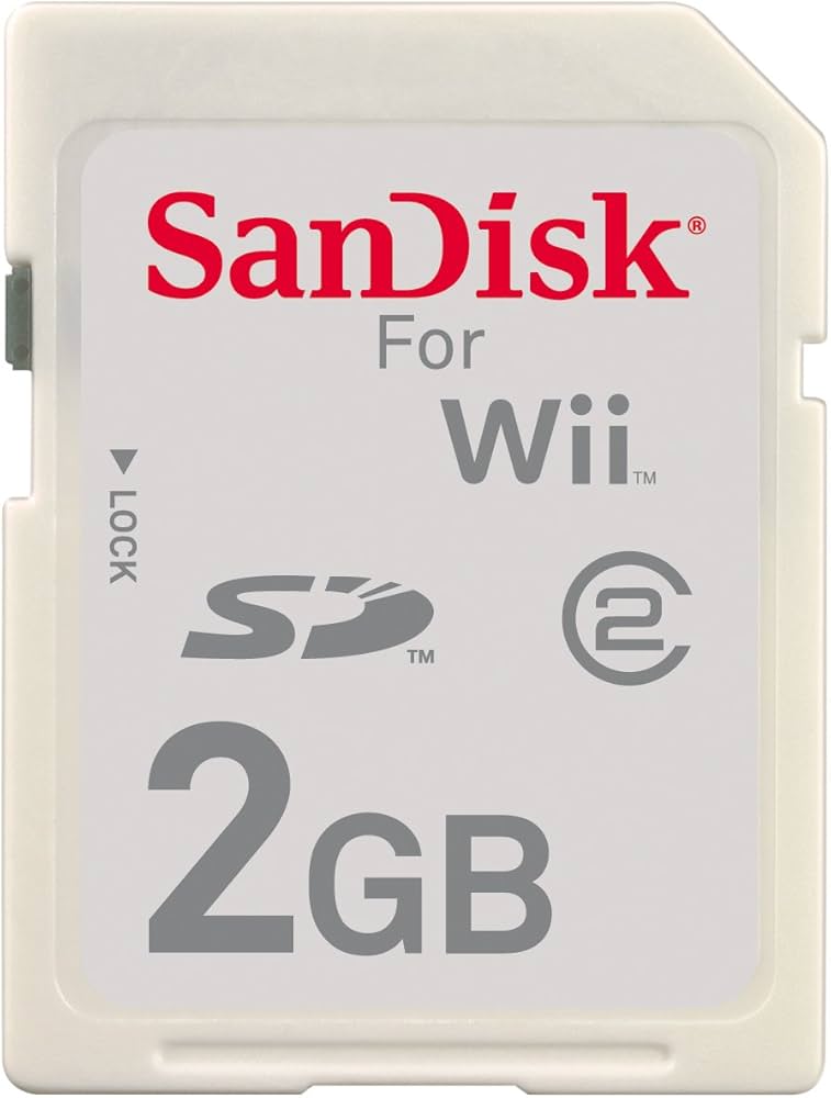 Amazon.com: SanDisk Gaming SD™ Wii - 2GB SDSDG-2048-A11 : Video Games