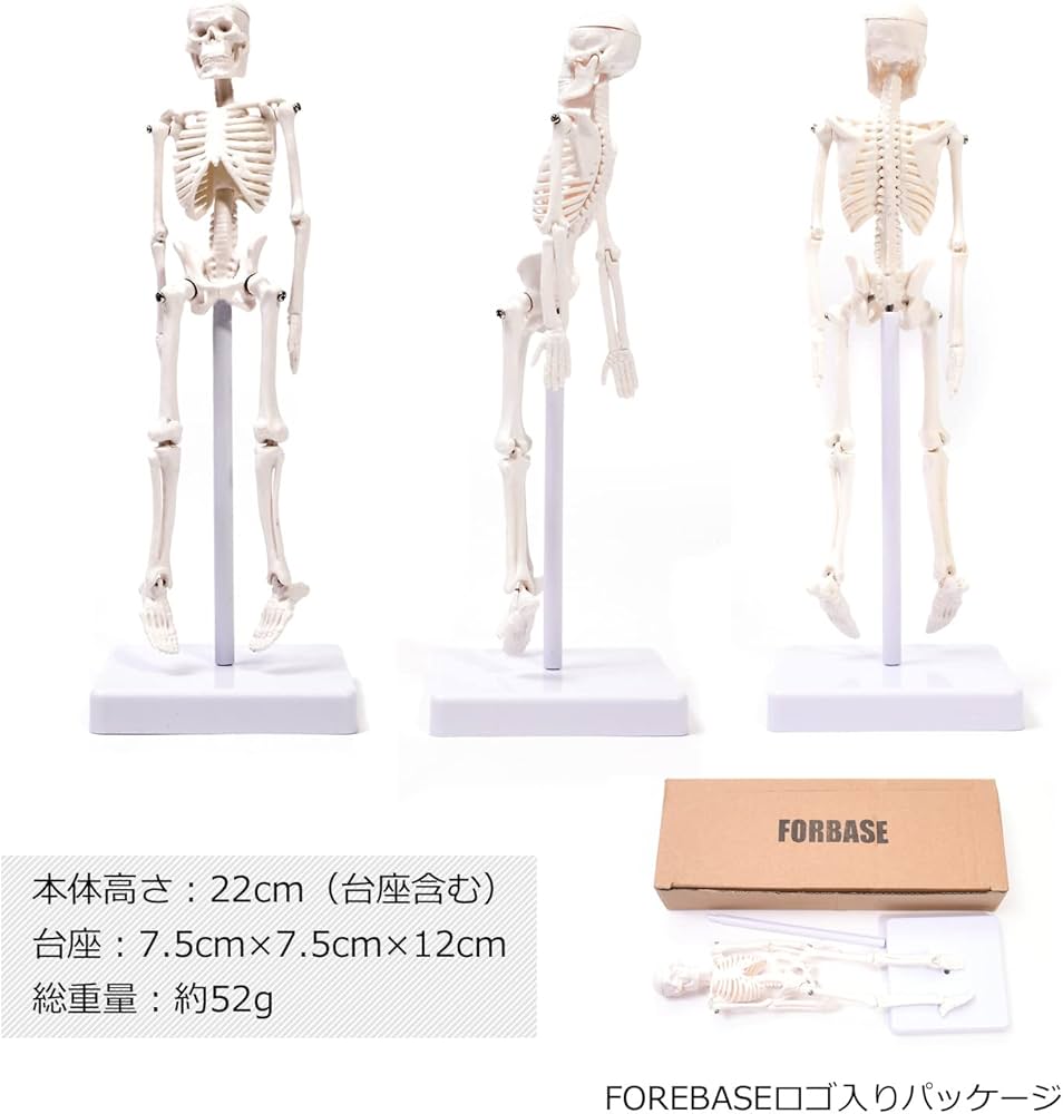 61usWeKjI4L._AC_UF1000,