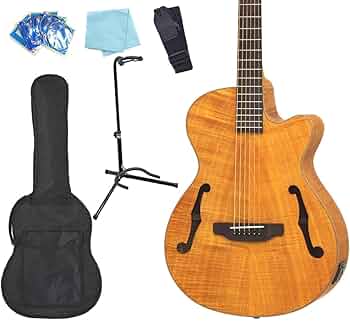 Amazon | エレアコ アコースティックギター ARIA FET-F2 STBR Fホール