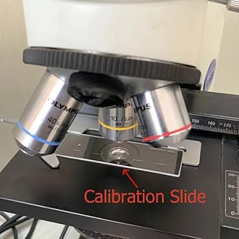 Amazon.com: 5-Scales Crosshair Optical Glass Microscope Slides