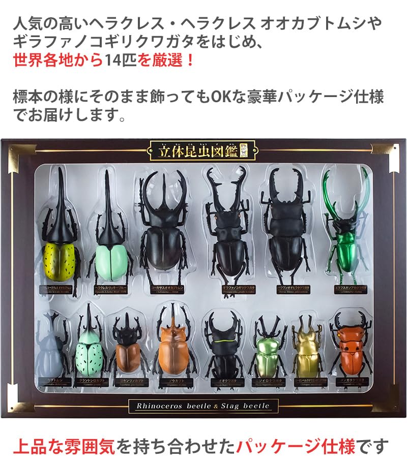 Amazon.co.jp: ザ・アクセス 立体昆虫図鑑DX カブトムシ クワガタ 14種