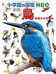 小学館の図鑑NEO〔新版〕鳥 | 柚木修, 水谷高英, 上田恵介 | ノン
