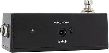 Amazon.co.jp: WALRUS AUDIO ウォルラスオーディオ Canvas Tuner