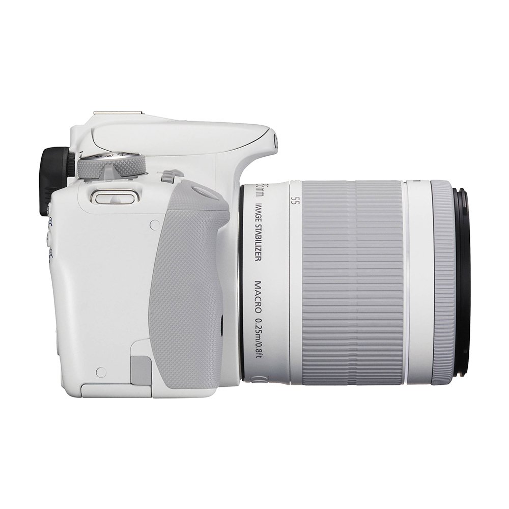 Amazon.com : Canon EOS Rebel SL1 Digital SLR with EF-S 18-55mm is