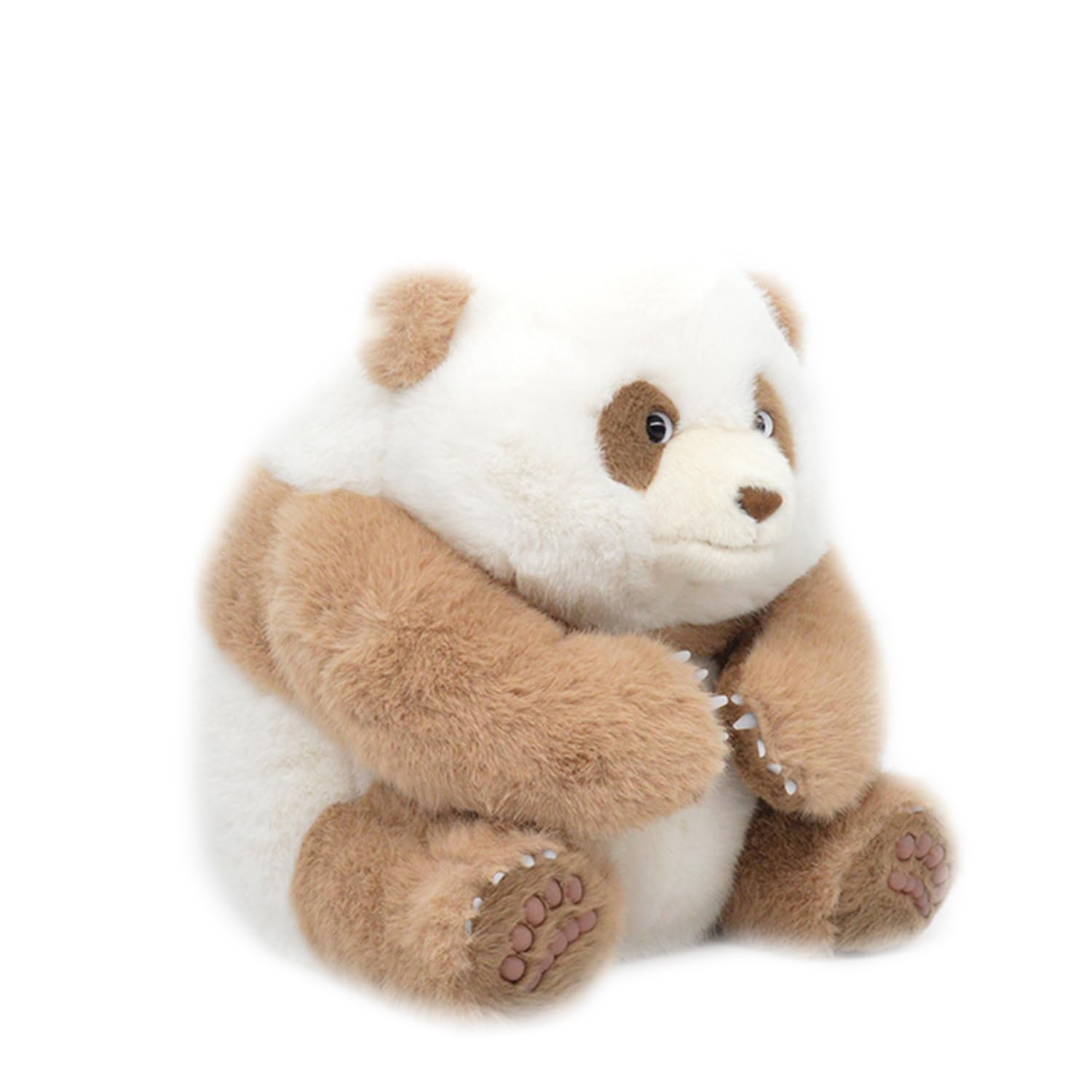 Amazon.co.jp: 世界唯一のチョコレート色パンダ 七仔 チーザイ パンダ