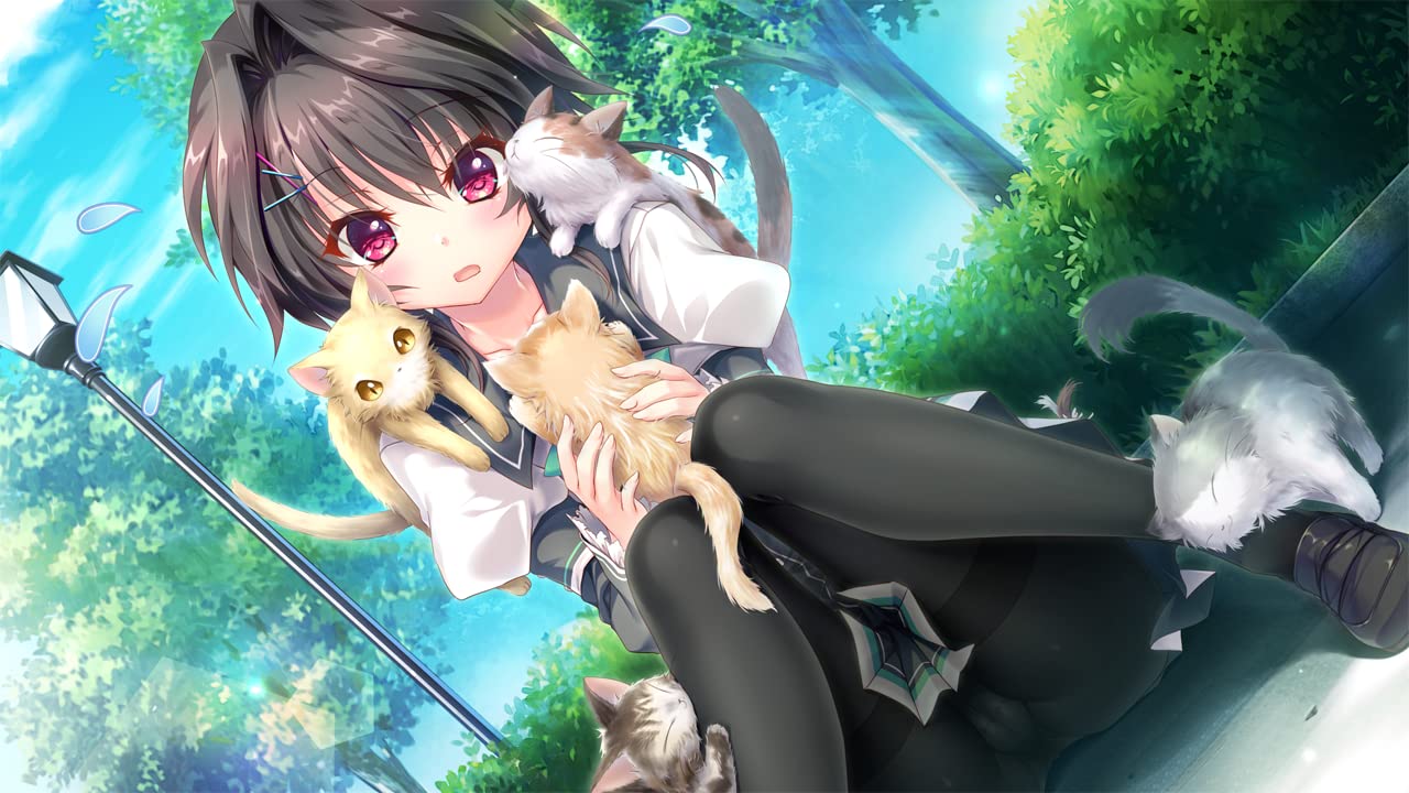 Amazon.co.jp: 9-nine- Switch : Video Games